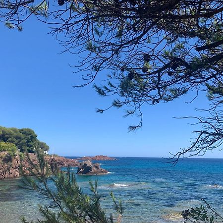 Studio Climatise Avec Piscine Saint-Raphaël Exteriér fotografie